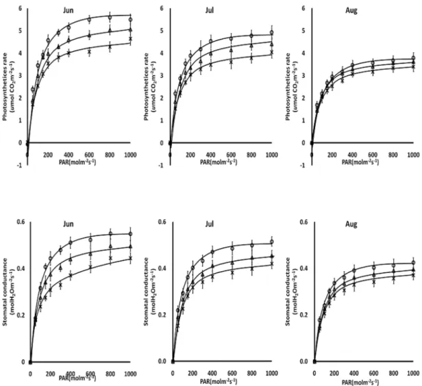 Fig. 3.  Changes of photosynthetic rate and stomatal conductance according to different planting positions and growth stages in different light intensities ( ○ : Front,  △ : Center, ×: Rear) .