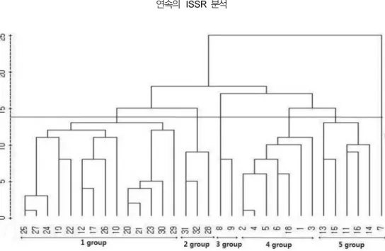 Fig. 2.  Dendrogram illustrating genetic relationships among 32 accessions generated by cluster analysis with average linkage method