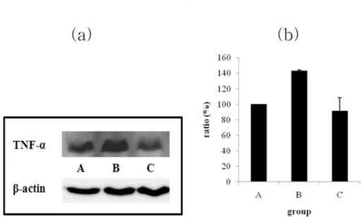 Fig. 3.  Effect of  Inonotus obliquus  on the TNF- α  expression in liver. (a) Expression of TNF- α  protein was determined by Western blotting