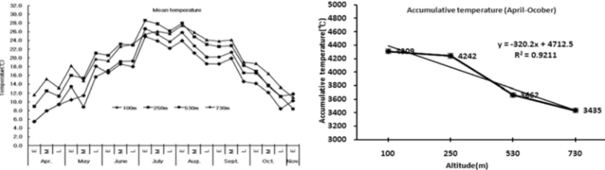 Fig. 1.  Mean temperature and accumulative temperature of examination field of  A. gigas .