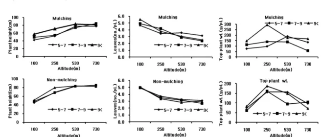 Fig. 2.  Relation between top plant growth by seedling sizes and altitude on mulching or non-mulching cultivation of  A