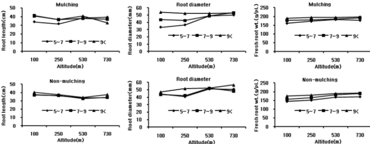 Table 2.  Effect of yield ( ㎏ /10a) according to the seedling size at the different altitude in  A
