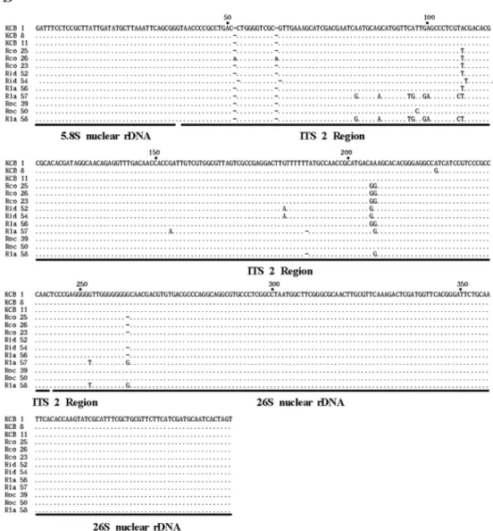 Fig. 2.  continued