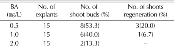 Table 5 과 같은 결과를 얻었다 . Shoot buds  유도는  BA 0.5 ㎎ /L 에서  53.3% 로 가장 높았으며 , BA 1.0 ㎎ /L 에서 40.0%, BA 2.0 ㎎ /L 에서는  13.3%  정도로 관찰되어  BA 와 NAA 의 조합처리와 암처리보다 액체배양에서 높은  shoot bud