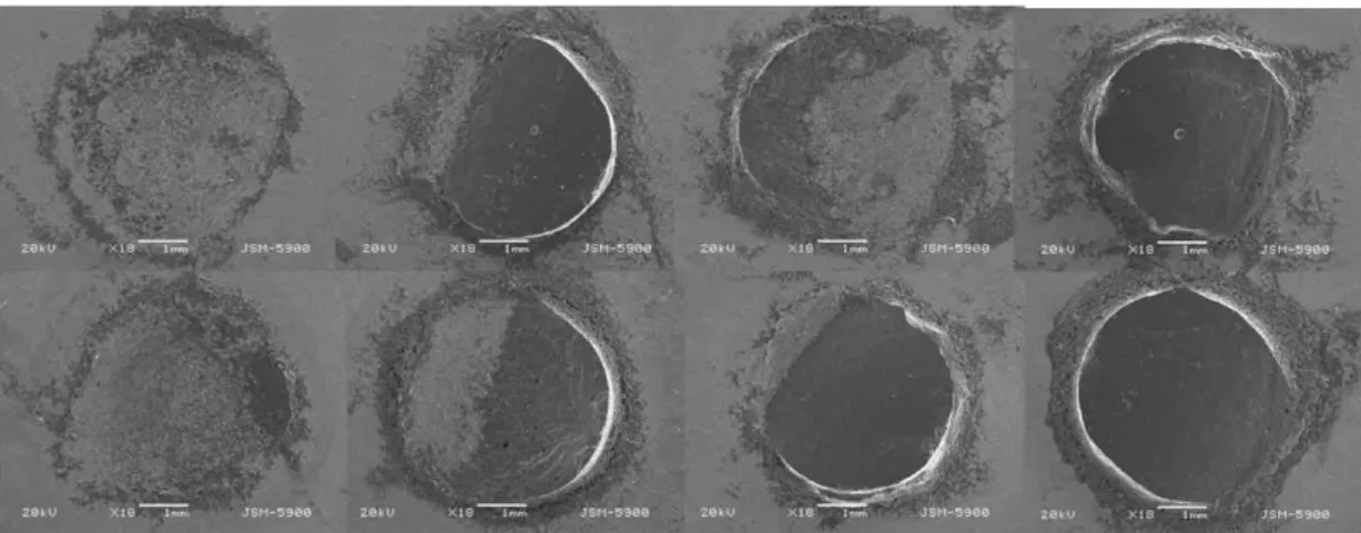 Fig. 7. SEM micrographs of P group after shear bond strength test(magnifigation x18). They presented 6 mixed failures and 2 cohesive failures.