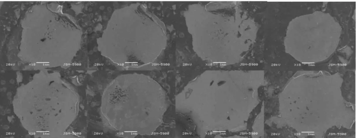 Fig. 9. SEM micrographs of ZRR group after shear bond strength test(magnifigation x18)