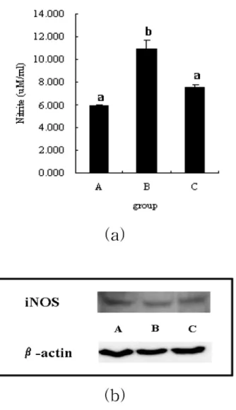 Table 2.  Effect of  Phellinus linteus  on the immunoglobulin A and E production in serum (a) and in MLN cultured  super-natant (b)