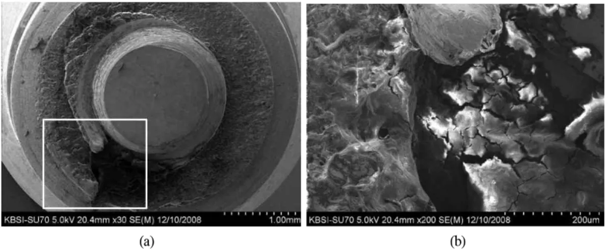 Fig. 4. Pre-cleansing state (Implant fixture). (a) Low magnification (X 30). (b) Higher magnification of the white box area (X 200).