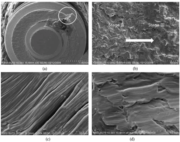Fig. 8. Upper part of fractured implant fixture (1). (a) Low magnification (X 30, defect area was not detected)