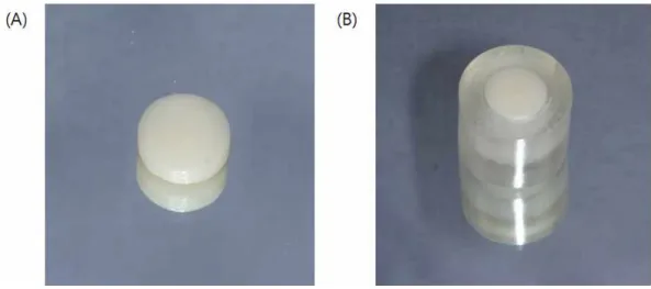 Fig. 2. Ceramic specimen used in this study.