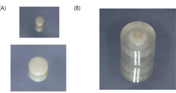 Fig. 3. Bonding of resin cement to ceramic specimen.