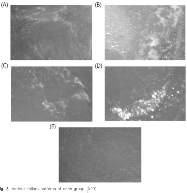 Fig. 8. Various failure patterns of each group (X20).