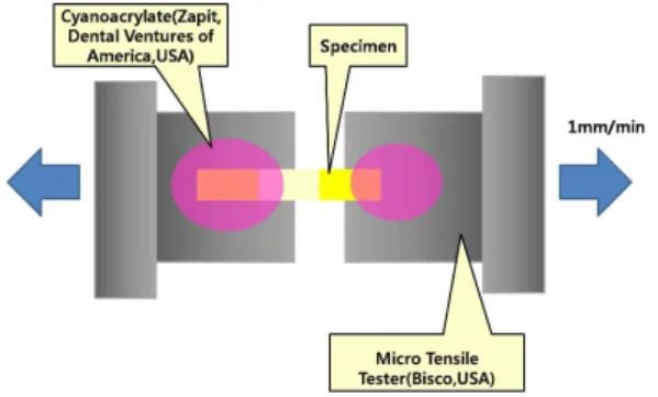 Table I. 표면처리에 따른 미세인장 결합강도 (Mean±SD).