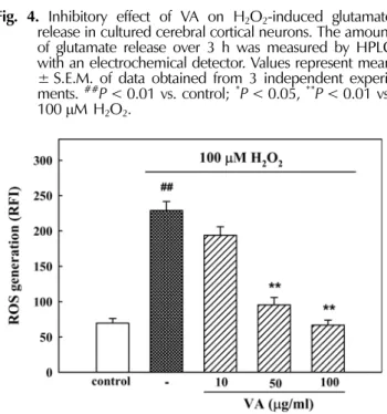 Fig. 5 . Inhibitory effect of VA on H 2 O 2 -induced ROS generation in cultured cerebral cortical neurons