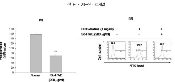 Fig. 5.  Effect of Sb-HWE on the phagocytic uptake of RAW264.7 cells. (A and B) RAW264.7 cells (2 × 10 5  cells/ ㎖ ), pretreated with Sb- Sb-HWE, were stimulated with FITC-dextran (1 ㎎ / ㎖ ) for 6 h