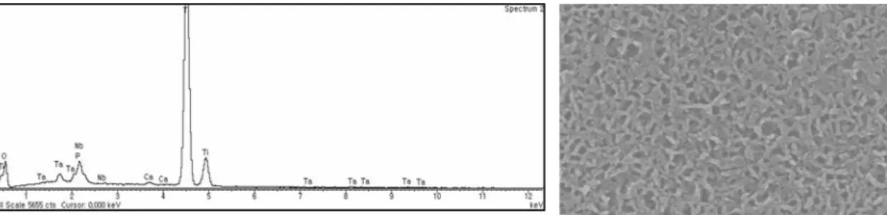 Fig. 3. EDX profile of alkali- and heat-treated titanium-8tantalum-3neobium alloy surface soaked in simulated body fluid for 21 days