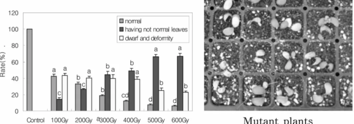 Fig. 2. Rates of the plants of normal, having not normal leaves and dwarf and deformity in Astragalus membranaceus treated with different doses of gamma radiation.