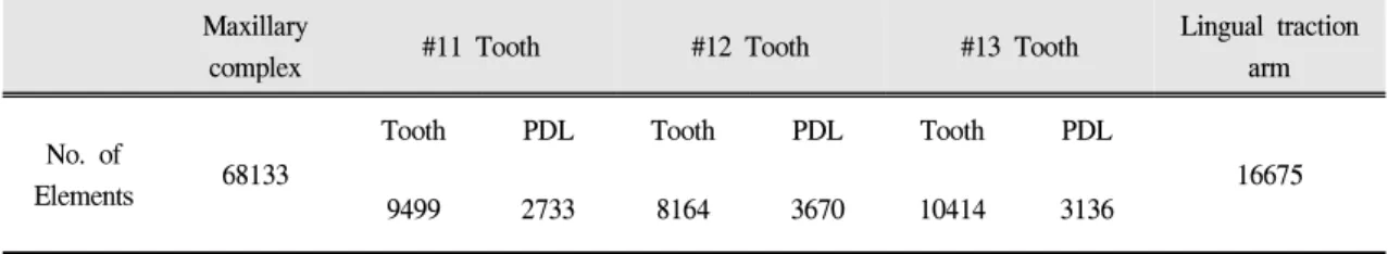 Table I. Number of elements of adult in finite element model.