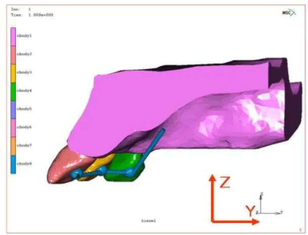 Fig. 7. Boundary conditions were fixed the movements to the directions of X, Z axis.