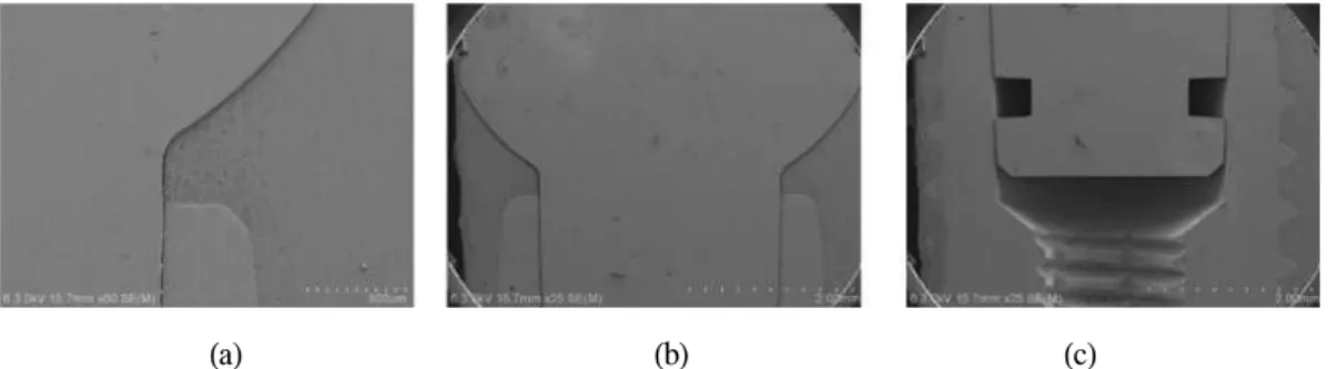 Fig. 23. FE-SEM view of Load 5 : FDI abutment. (a: x60, b: x25, c: x25)