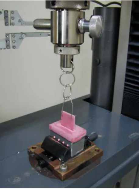 Fig 2. Apparatus to measure of maximum retention force between alginate impressions and resin specimen.
