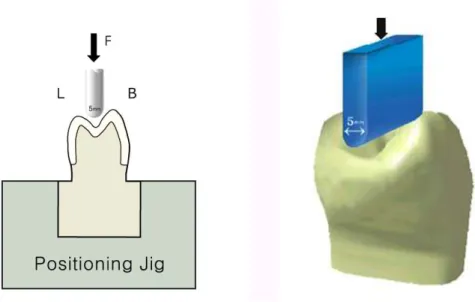 Fig. 1. Schematic drawing of loading condition at specimen.