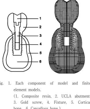 Fig. 1. Each component of model and finite element models.