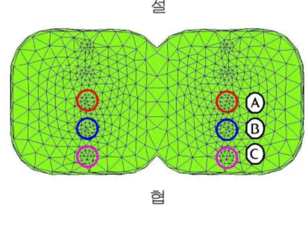 Fig. 1. Schematic representation of model
