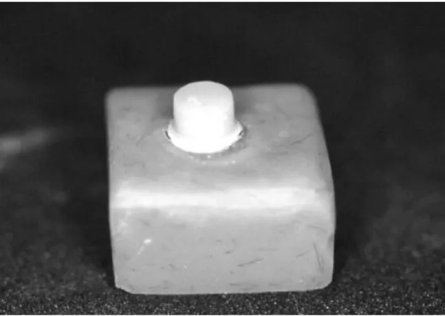 Fig. 7. Resin block formation for measuring of shear bond strength