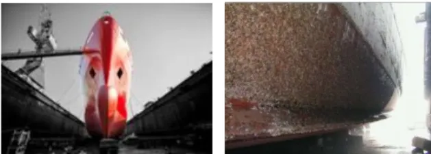 Fig. 1 Smooth surface(left) and fouling on hull surface(right)