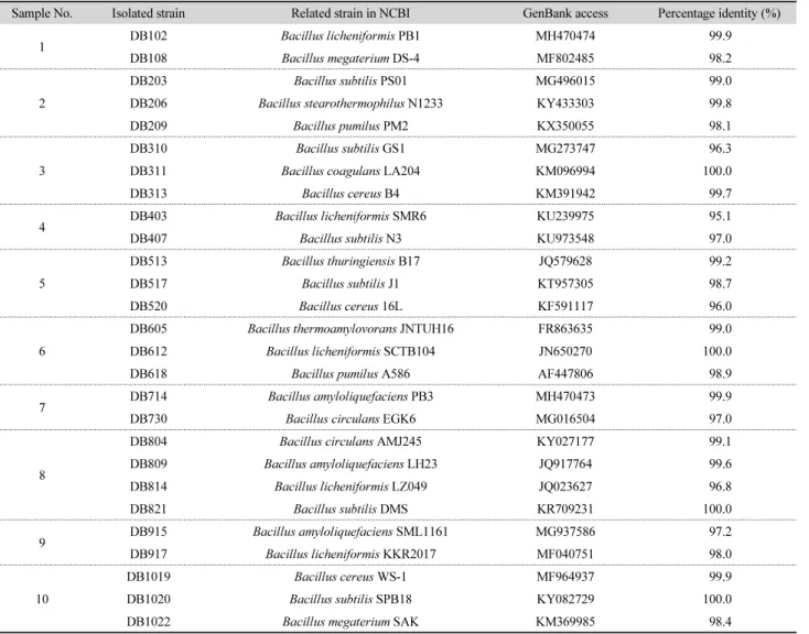 Table 2. Identification of  Bacillus sp. isolated from traditional fermented soybean paste