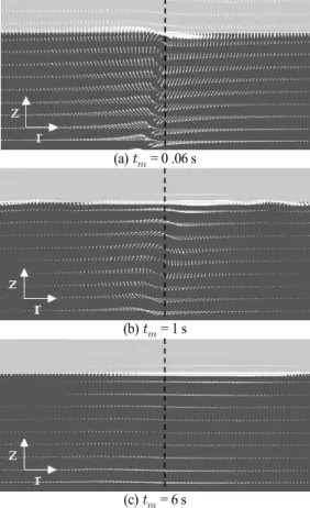 Fig. 5 Time evolution of wave shape and underwater flow around  the location(≃5 m) of deep sea