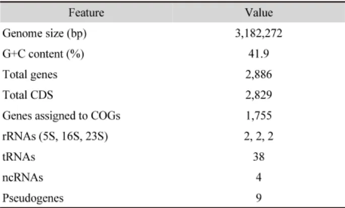 Table 1.  General genomic features of Flavobacteriaceae sp. RR4-38