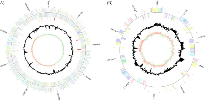Fig. 1. Graphical circular map of the chromosome (A) the pHL2708Z5 (B) of HL2708#2. From outside to the center: Genes on forward strand (color by COG  categories), Genes on reverse strand (color by COG categories), RNA genes (tRNAs orange, rRNAs red, other