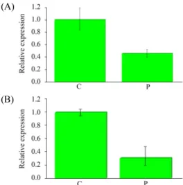 Fig. 2. Metastasis gene expressions. (A) PLAU expression. Real-time PCR  for the amplification of PLAU mRNA in MCF7 cells was performed