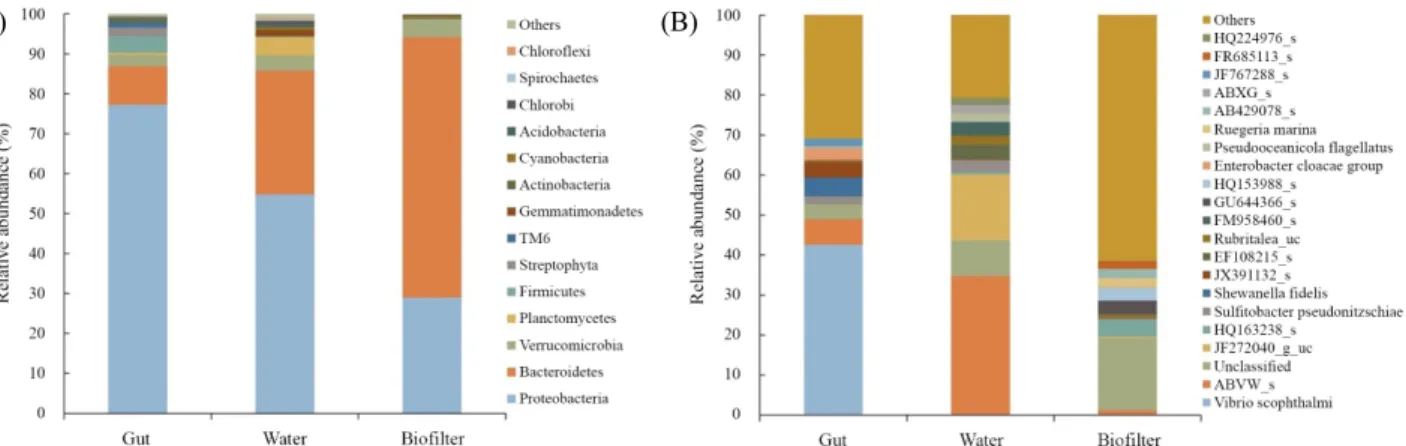 Fig. 4. Microbial community structures in the gut of the fish, water, and biofilter in the RAS at the (A) phylum and (B) species levels.