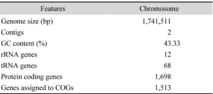 Table 1.  General genomic features of L. lactis CCK940