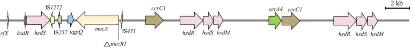 Table 1.  Genome features of Staphylococcus epidermidis Z0117SE0042