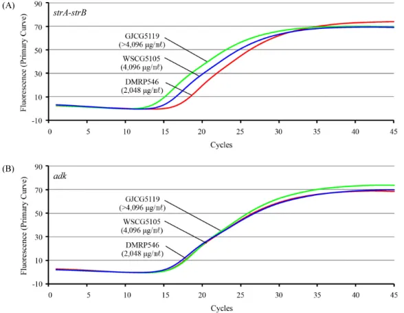 Fig. 2. Result of real-time PCR to determine the relative copy number of strA-strB (A)