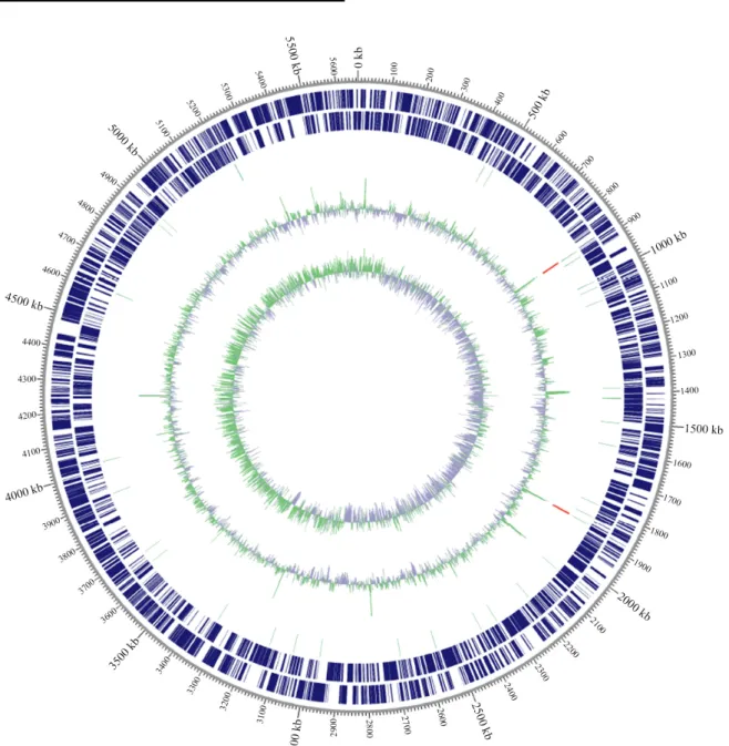 Table 1.  Genome statistics of F. eckloniae ECD14 T