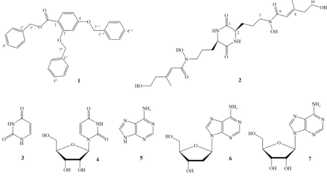 Fig. 1. Chemical structures of compounds 1‒7.