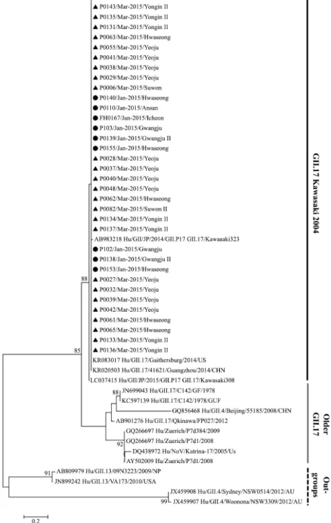 Fig. 5. Phylogenetic tree of noroviruses based on partial VP1 nucleotide sequences. Nucleotide sequences were analyzed by using the maximum-likelihood  method