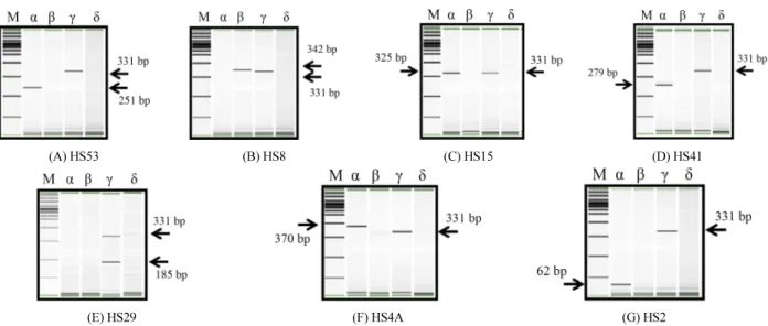 Fig. 1. Multiplex-PCR pattern of  C. jejuni genotypes.