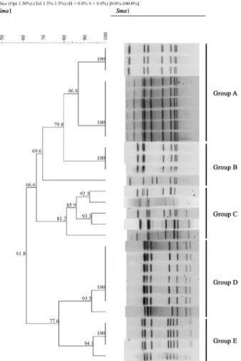 Fig. 2. Dendrogram of  SmaI PFGE patterns from C. jejuni causing outbreak in Gyeonggi area.