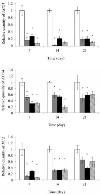 Fig. 2. Relative quantities of ACS4 and ACS6 transcript after Cu treatment  for 7, 14, and 21 day on tomato plant treated with P