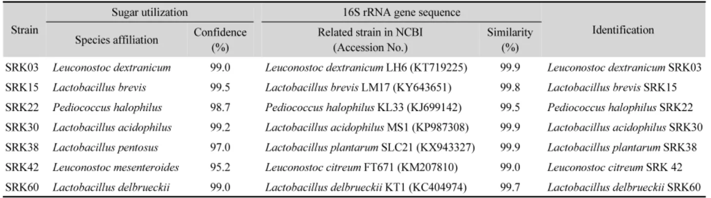 Table 1. Identification of lactic acid bacteria isolated from sliced radish kimchi by API 50 CHL kit and 16S rRNA gene sequencing