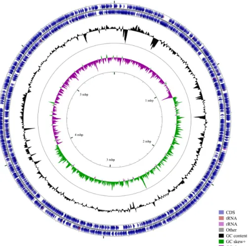 Table 1. Genome features of Spirosoma rigui KCTC 12531 T