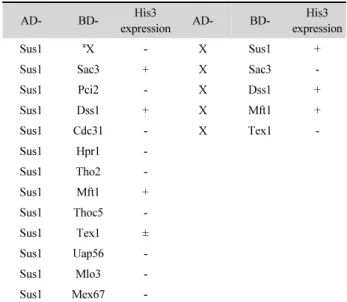 Fig. 3. Association of sus1 with Sac3 in S. pombe extracts. The Sac3-TAP  and Sac3 (control) cells were transformed with HA-Sus1 plasmid