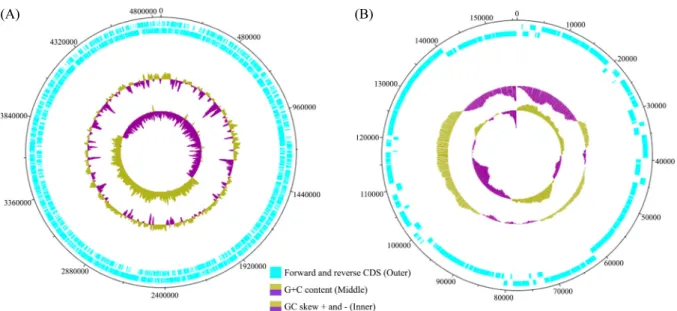 Table 1. Genome features of Halioglobus sp. RR3-57