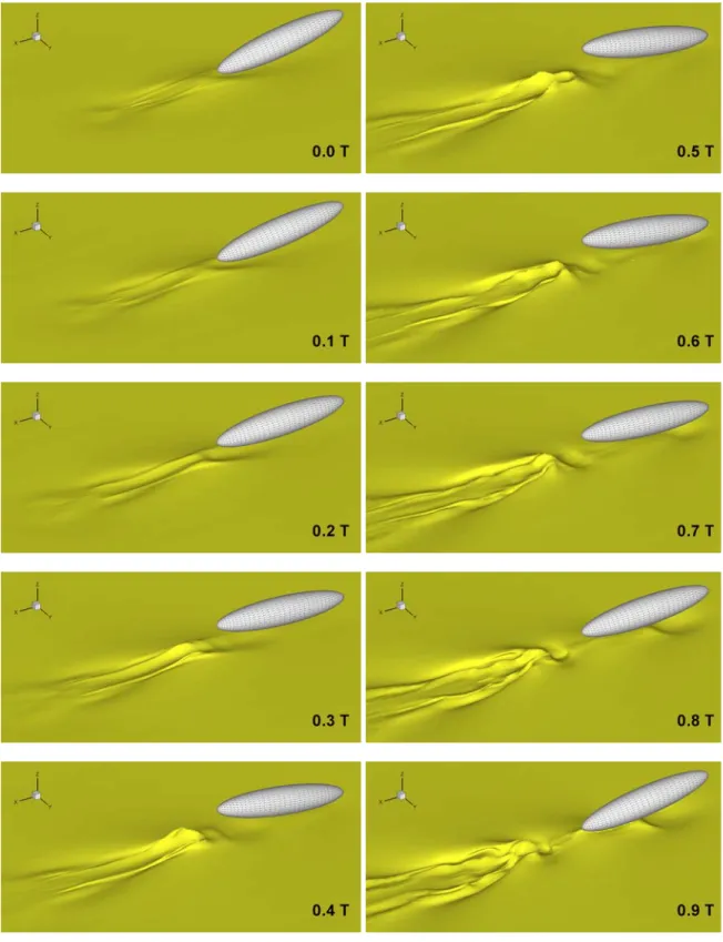 Fig. 3 Time evolution of internal waves generated by a translating and pitching ellipsoid